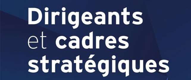 Dirigeants et cadres stratégiques : conseils, témoignages et confidences 