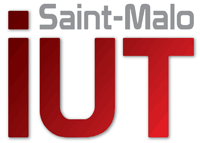 LP MGRI - IUT ST MALO
