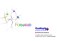 FORMALUD