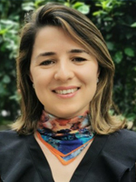 Mounia N. HOCINE Conservatoire National Des Arts Et Métiers (Cnam)