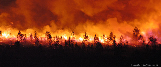 Des drones pour combattre les incendies de forêt