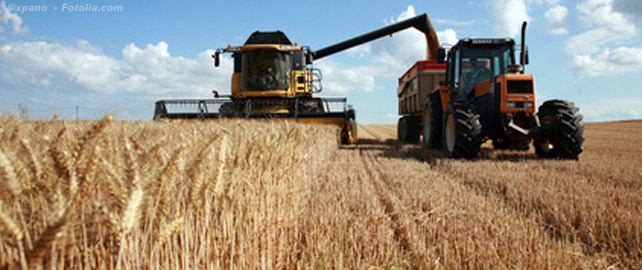 Plus d'un million d'agriculteurs potentiellement exposés aux pesticides