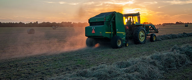 Pesticides : Des tumeurs cérébrales reconnues maladies professionnelles