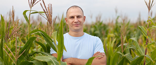 Slasheurs-cueilleurs : cultiver une nouvelle vision de l'agriculture