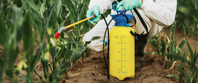 Agriculture et prévention : quelles solutions face aux risques phytosanitaires ?