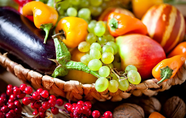 Alimentation : conférences / ateliers / stand d'échanges