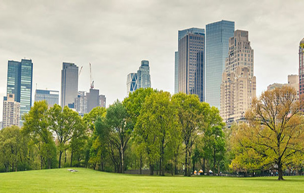 Management de l'environnement - Certification ISO 14001