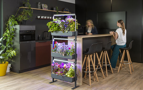 Jardin autonome modulaire et sans entretien - Gourmet