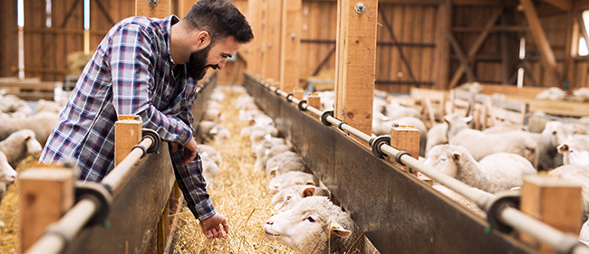 Amélioration de la prise en charge des TROUBLES PSYCHOSOCIAUX dans l'AGRICULTURE